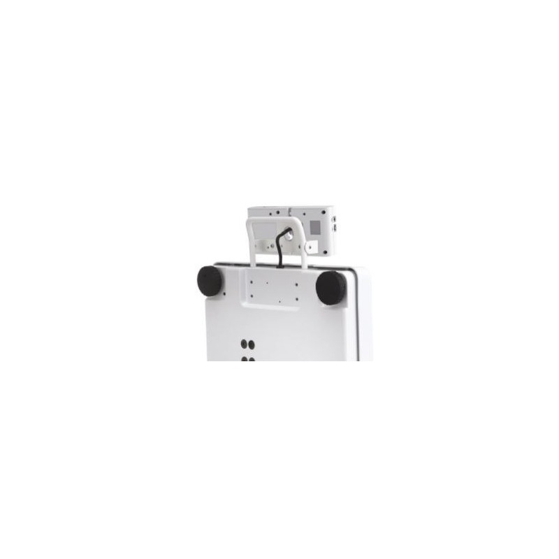 Balanza personal portatil - uso profesional capacidad max: 300 kg - div. 100 g