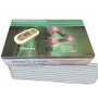 Medizinprodukt Magnetfeldtherapie Say PLUG DP100-004 mit Matte 80 x 190