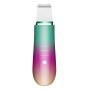 Anteamed Facial Skin Scrubber, Pore Cleanser, Exfoliating Cleaner - rainbow