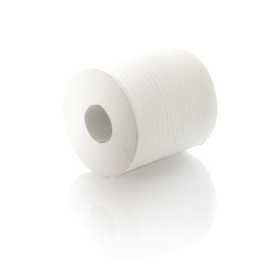 Paper Towel Roll - 320M