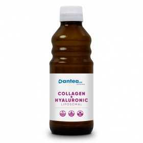 Anteamed Liposomal Collagène + Hyaluronique à l'arôme de vanille 250ml