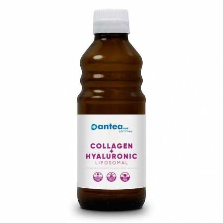 Anteamed Liposomal Collagen + Hyaluronic con aroma di vaniglia 250ml