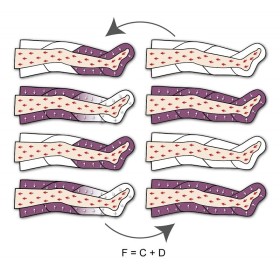 Pressomassage perfect waves