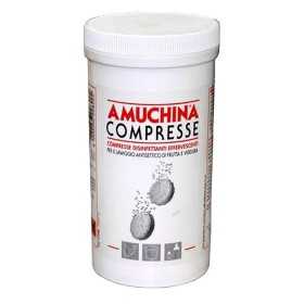 Amuchina effervescent disinfectant tablets 250x2g