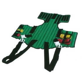 Spinal immobilizer (extrinsecator)