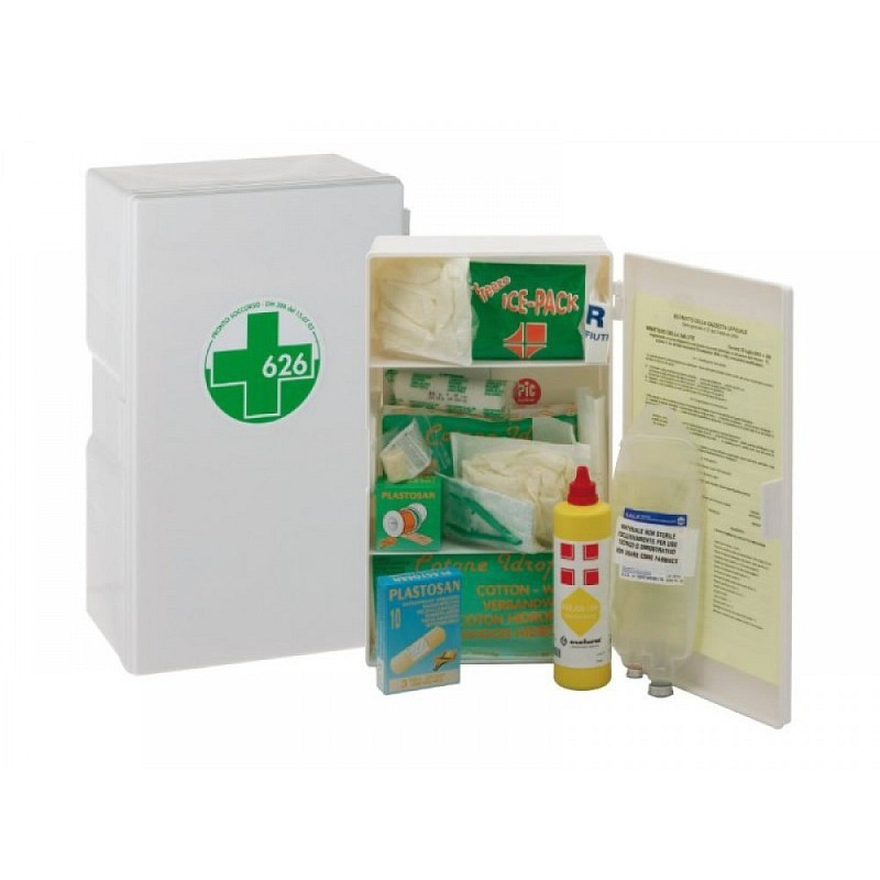 Cabinet dm n.388 din 15.07.03 anexa 2 model de baza - 1 / p gol