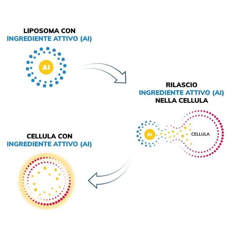 Anteamed liposomal glutatión 250 ml - tekutý lipozomálny gsh glutatión