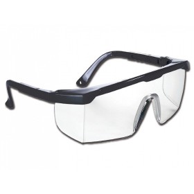 San diego glasses - black - anti-fog