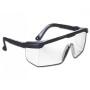 San Diego glasses - black - anti-fog