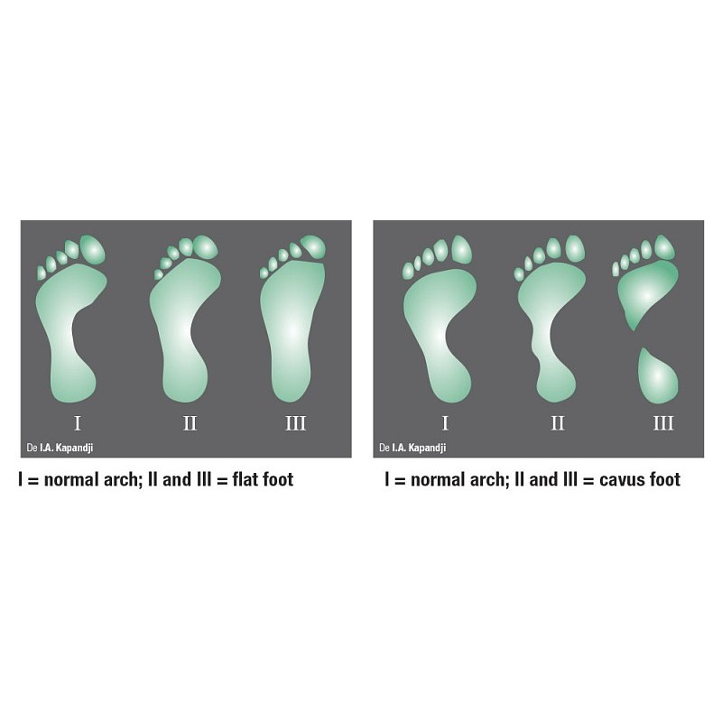 Podoscope lux new in led