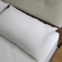 Housse de coussin anti-acariens PRISTINE Micro Air cm 35 x 60