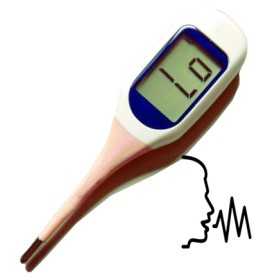 Talking thermometer with large display characters