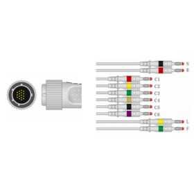 Cardioline compatible patient cable for static ECG