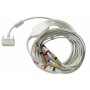 Patientenkabel 10-adrig IEC-Stecker 4 mm für Cardioline 100S und 100L EKG