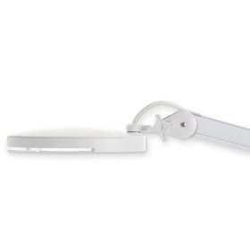 Led she-wolf lamp with lens - table