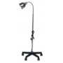 Lampe ambulatoire avec culot à 5 branches