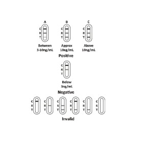 Test psa-prostata - profesjonalny - pakiet 25 szt.