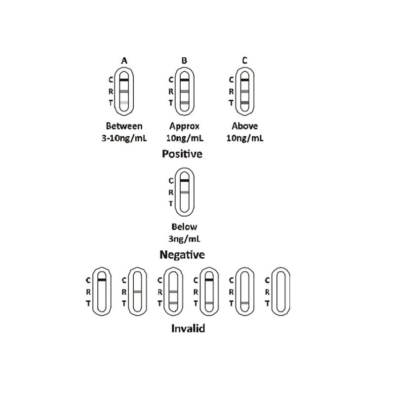 Test na prostatu psa - profesionální - balení 25 ks