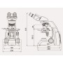 Microscopio biologico 40-1600x