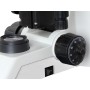 Microscopio biologico 40-1600x