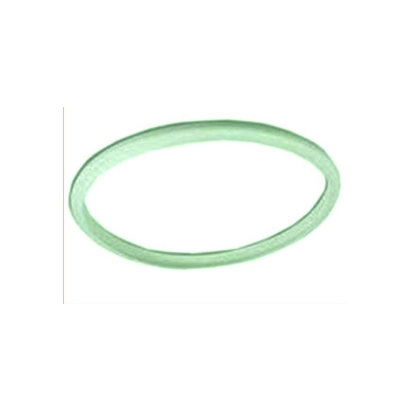Junta de silicona prestige - verde