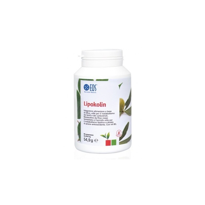 Lipokolin 90 tabletki po 610 mg