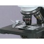 MICROSCOPIO BIOLOGICO 40-1600X