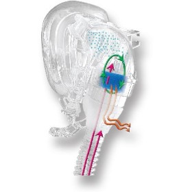 Transcend h6b-luchtbevochtiger voor comfortgel cpap-maskers (s/m)