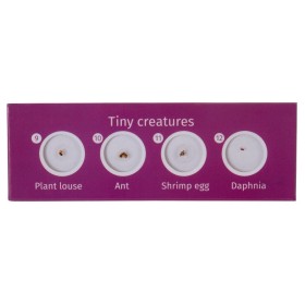 Levenhuk labzz c12 prepared slide set animals