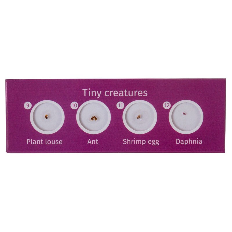 Levenhuk labzz c12 prepared slide set animals