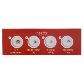 Levenhuk labzz c12 prepared slide set animals