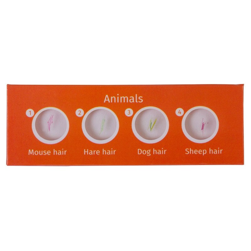 Levenhuk labzz c12 juego de diapositivas preparadas animales