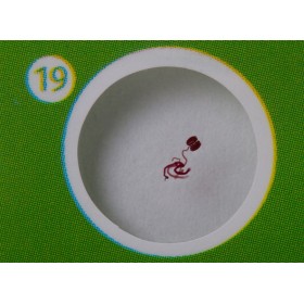 Levenhuk labzz p12 set di vetrini preparati piante