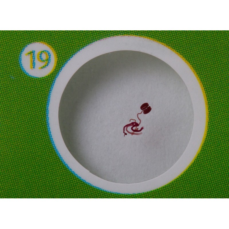 Set de lame pregătite levenhuk labzz p12 plante