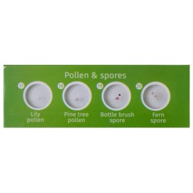 Levenhuk labzz p12 anlagen mit vorbereitetem objektträgersatz