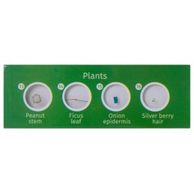 Set de lame pregătite levenhuk labzz p12 plante