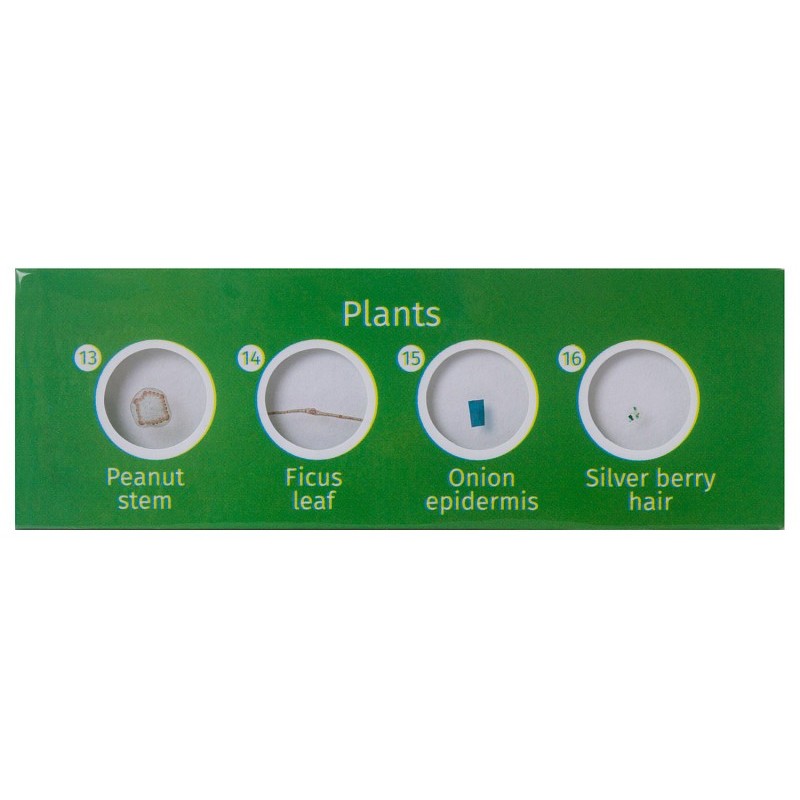Levenhuk labzz p12 preparovaná sada preparátů rostliny