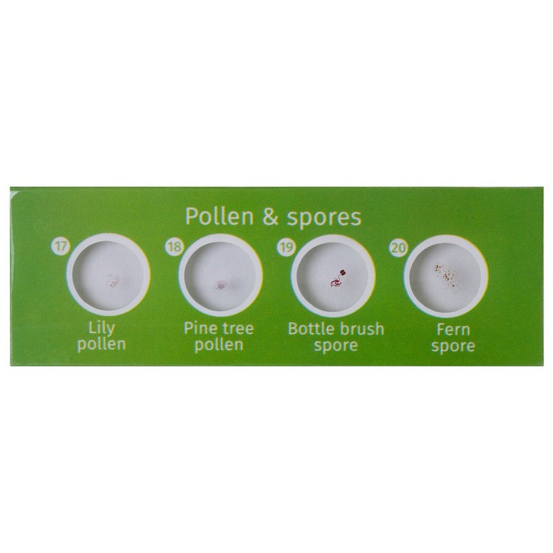 Levenhuk labzz cp24 set di vetrini preparati piante e animali