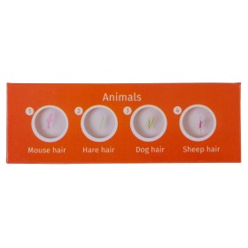 Levenhuk labzz cp24 juego de diapositivas preparadas plantas y animales