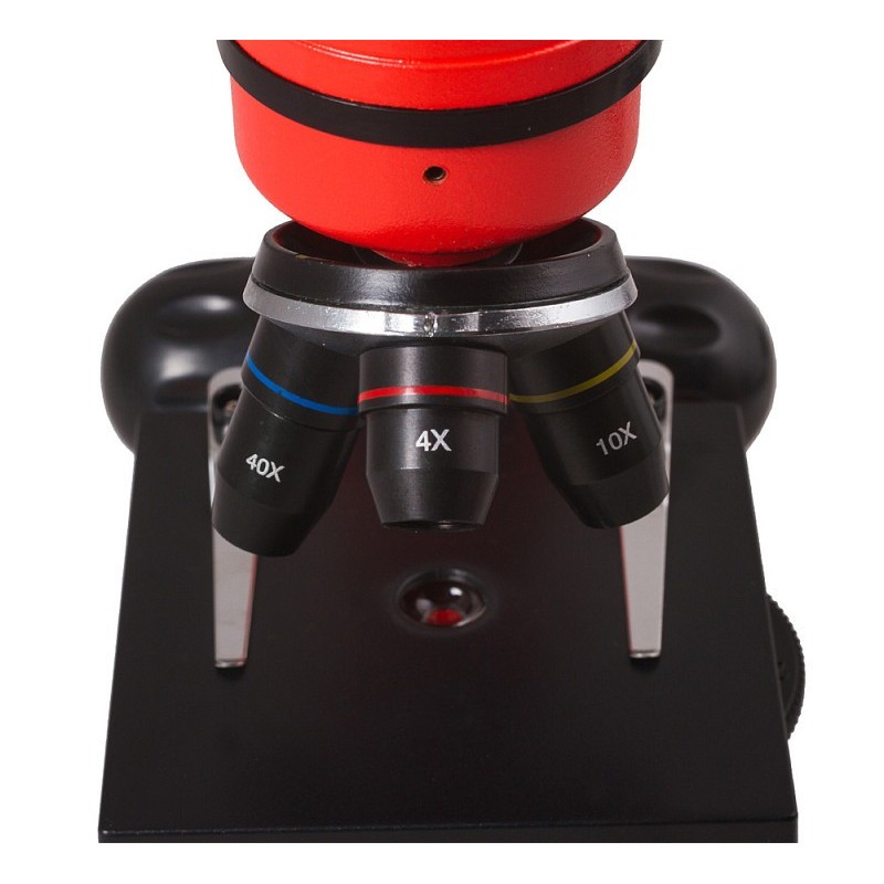 Levenhuk regenboog 2l microscoop