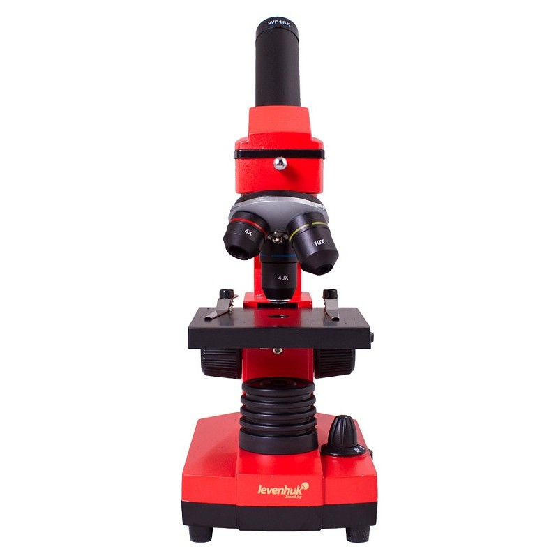 Microscopio levenhuk rainbow 2l plus