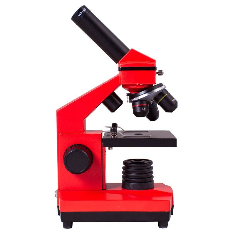 Microscope levenhuk rainbow 2l plus