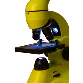 Levenhuk regenboog 50l microscoop