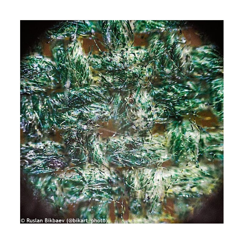 Mikroskop levenhuk rainbow 50l plus