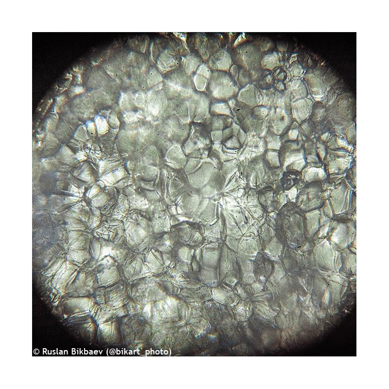 Microscop levenhuk rainbow 50l plus