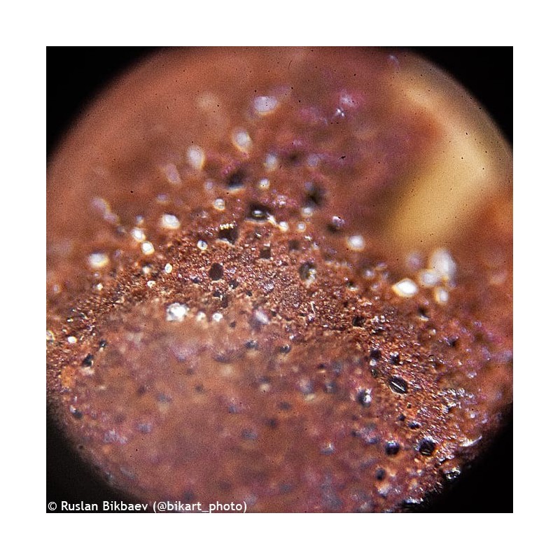 Microscope levenhuk rainbow 50l plus