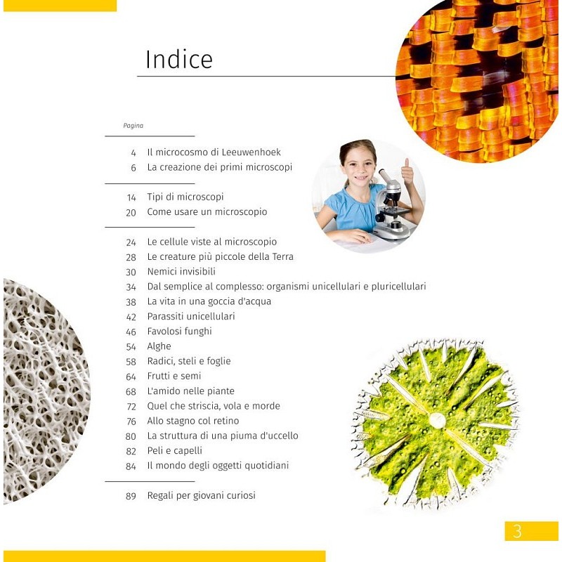 Levenhuk discovery micro microscope with book