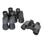 Binocolo Levenhuk Discovery Flint 8x40