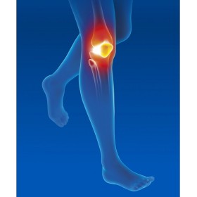 Epitact - knee brace for epitheliumflex ligaments – size t4 (circumfer. 42-43)