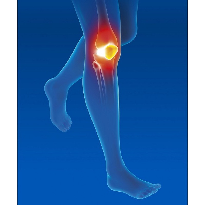 Epitact - epithelium flex patella kniebrace – maat t4 (omtrek 42-43)